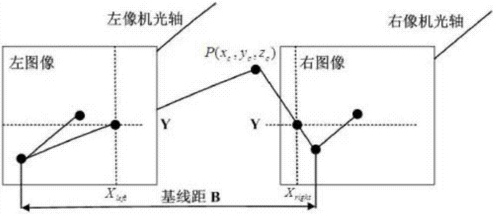 Binocular camera-based living body identification method and apparatus