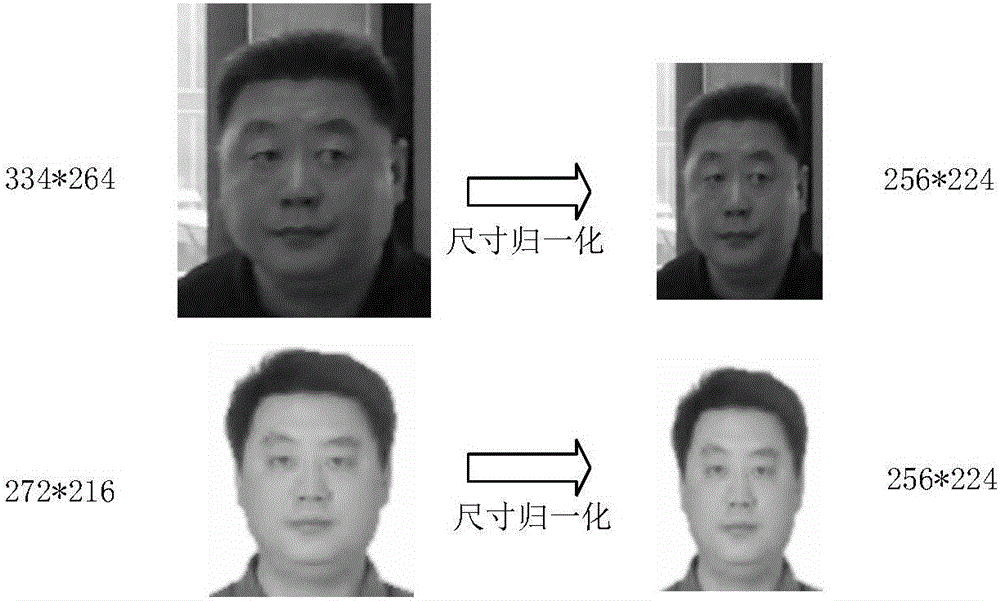 Face recognition method capable of extracting multi-level image semantics based on CNN (convolutional neural network)