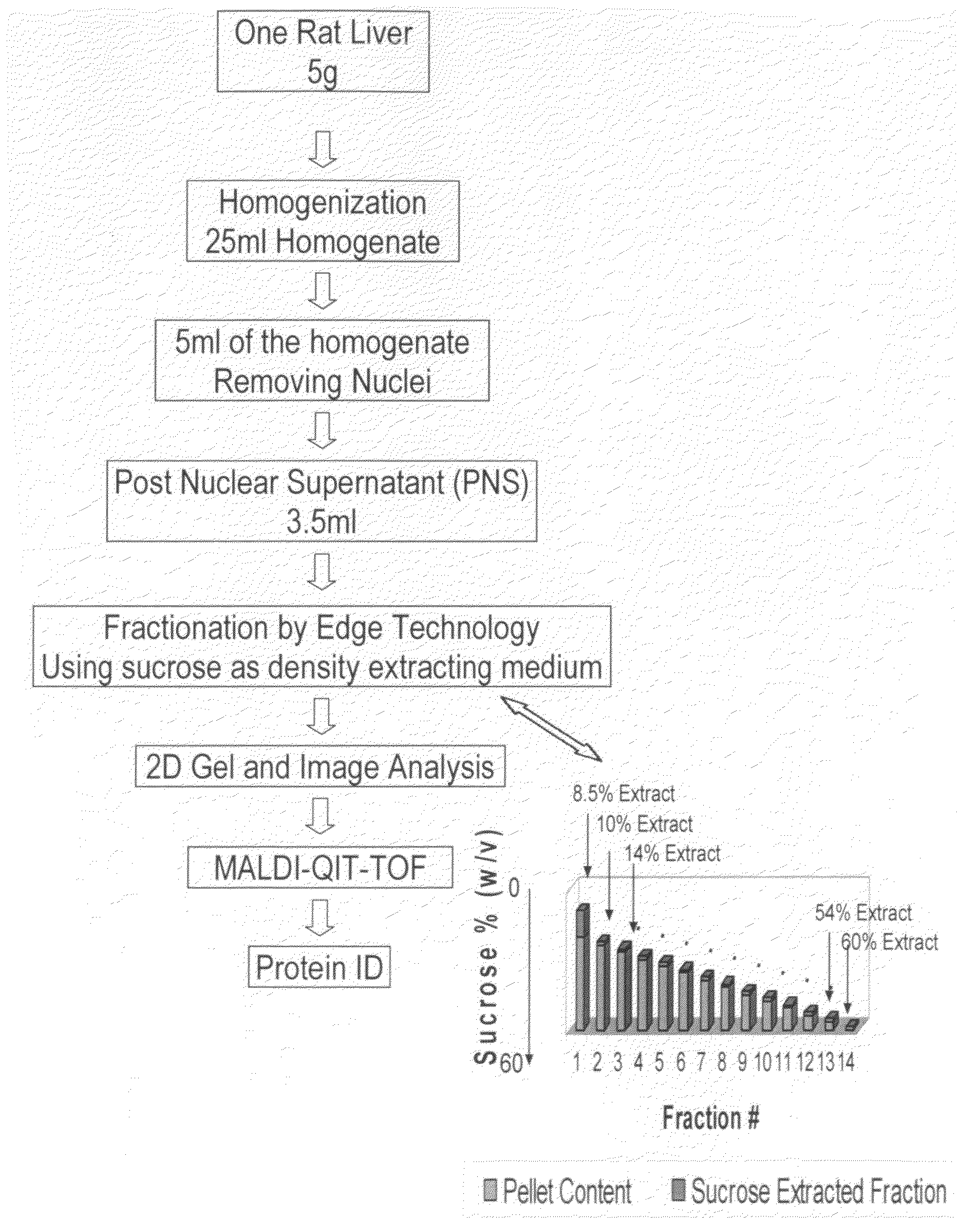 Method for the fractionation and separation of particles by step-wise gradient density extraction