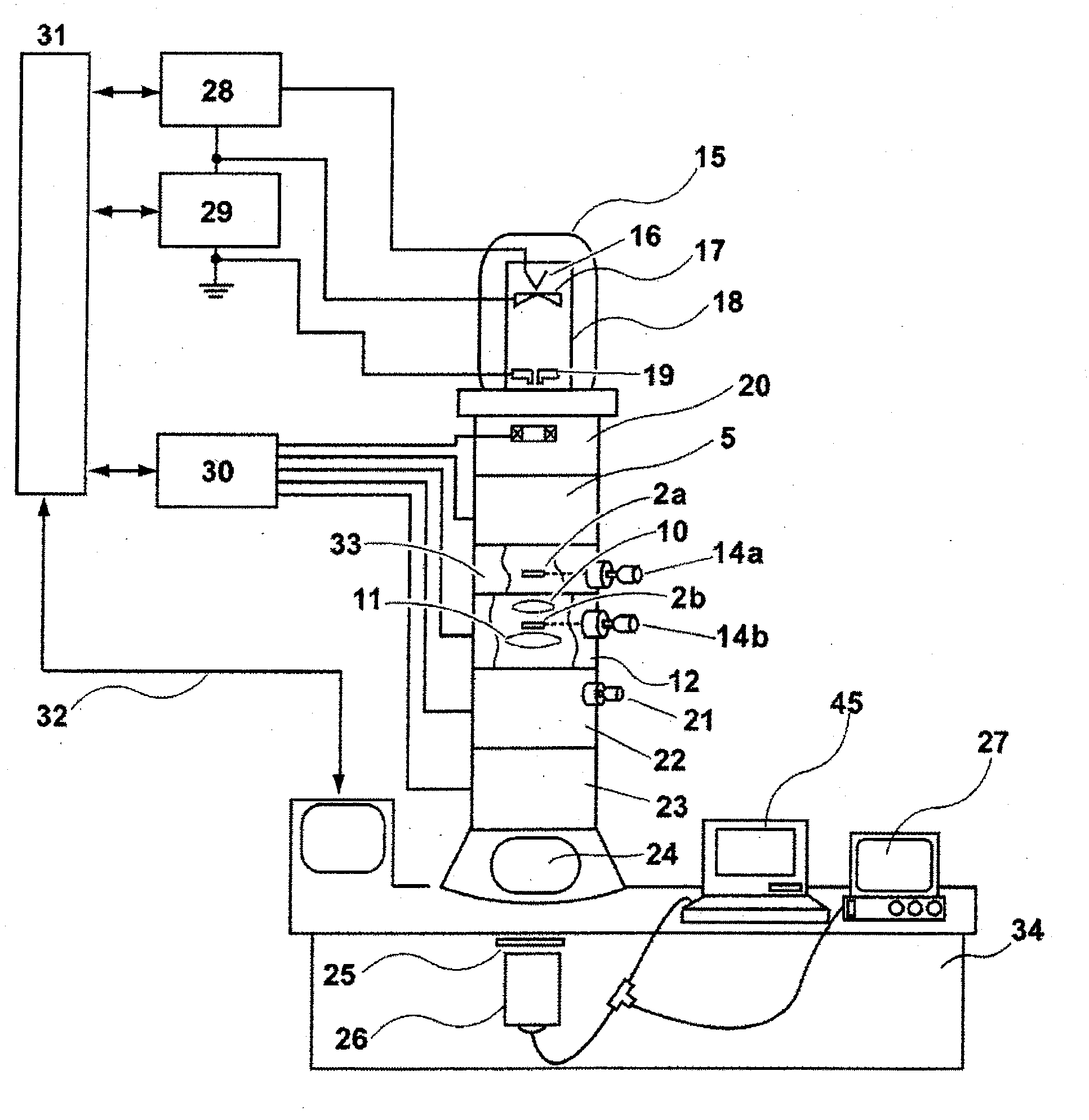 Electron beam observation device using pre-specimen magnetic field as image-forming lens and specimen observation method