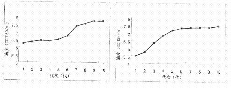 Adaptive culture method of rotavirus P(2) G3 strain and P(8) G1 strain on KMB17 cells and immunogenicity