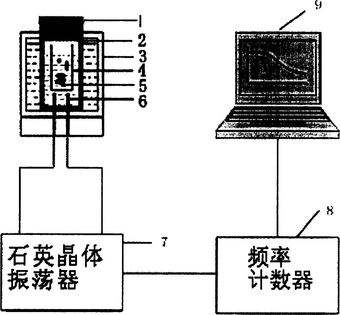 Method and apparatus for detecting microbe by piezoelectric quartz crystal sensor