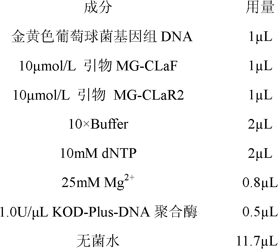 Building method of lactococcus lactis genetic engineering bacterial strain loaded with clfA gene