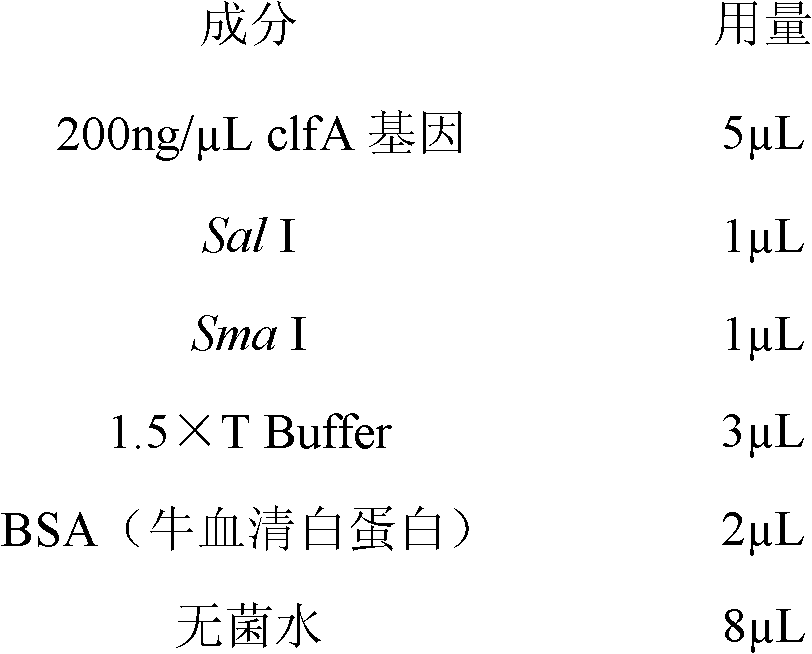 Building method of lactococcus lactis genetic engineering bacterial strain loaded with clfA gene