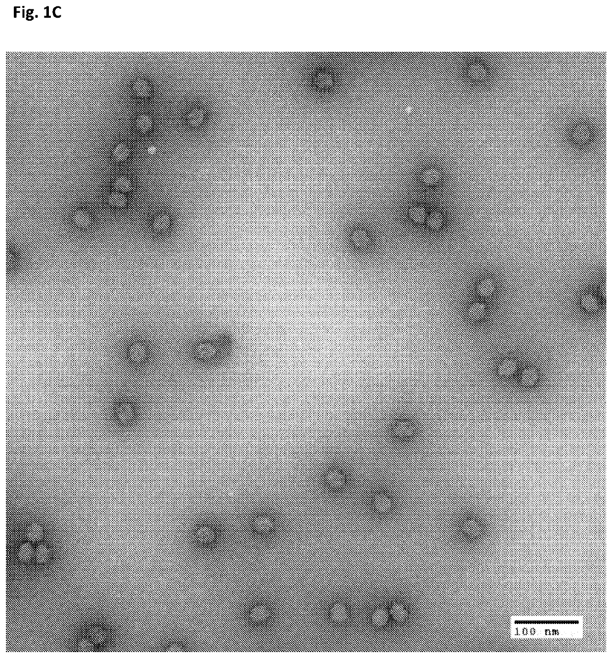 Nucleic acid origami structure encapsulated by capsid units