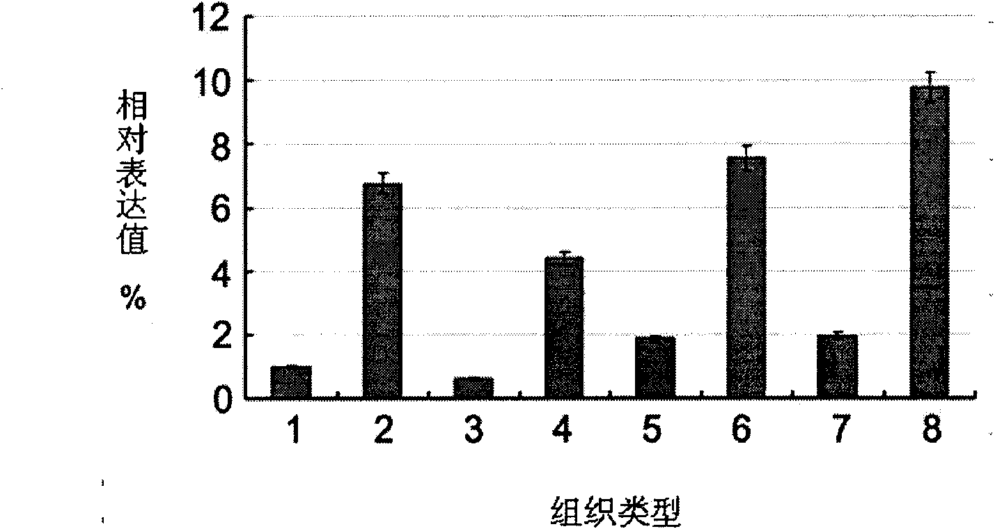 Long non-coding RNA sequence relevant to human melanoma cells and application thereof