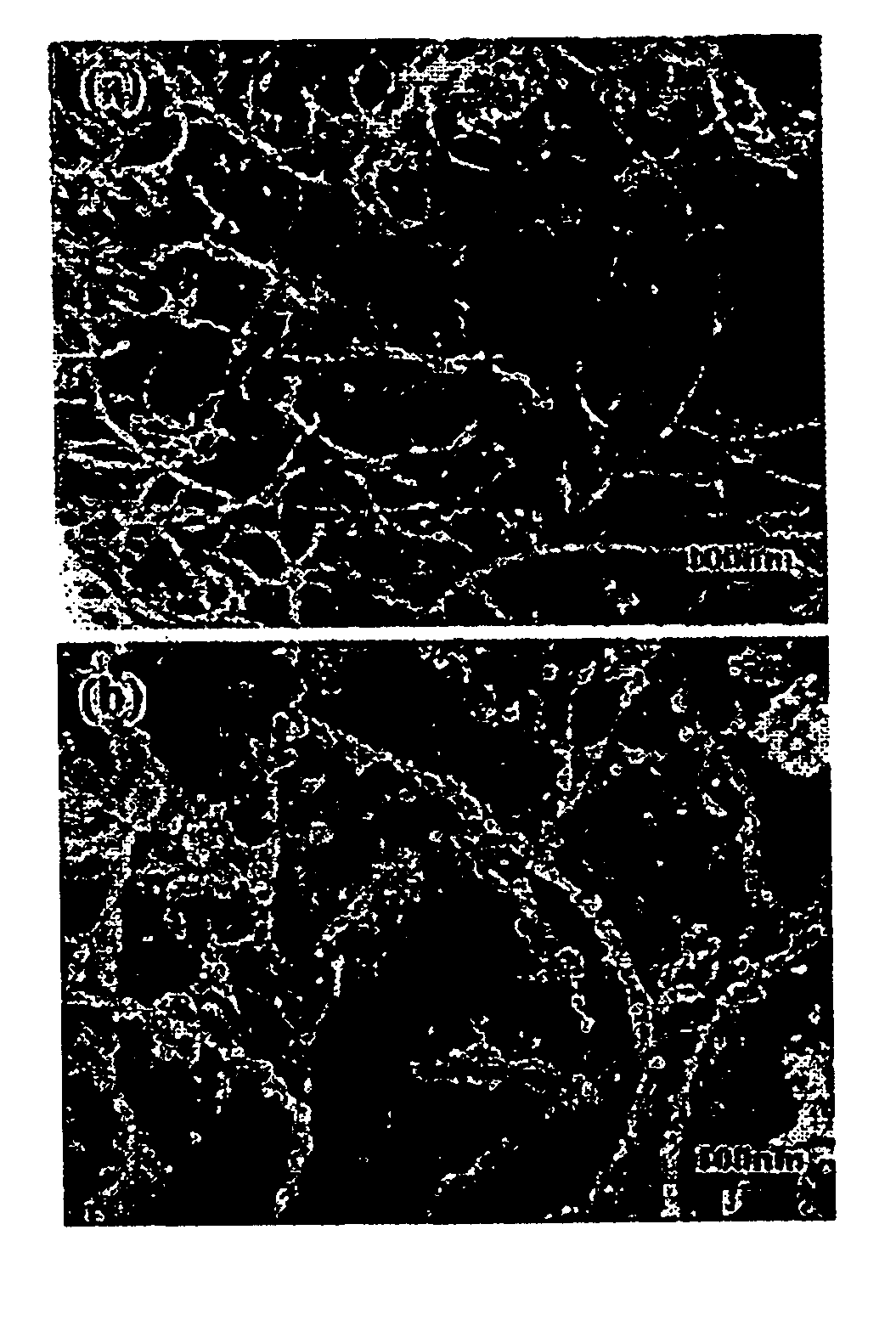 Reinforced carbon nanotubes