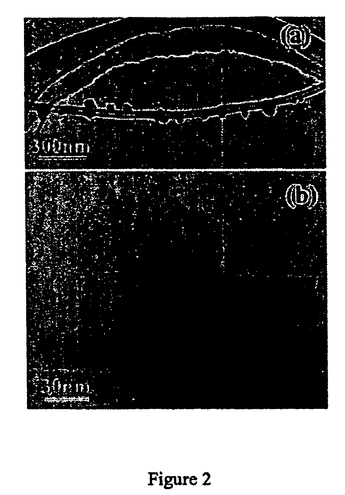 Reinforced carbon nanotubes