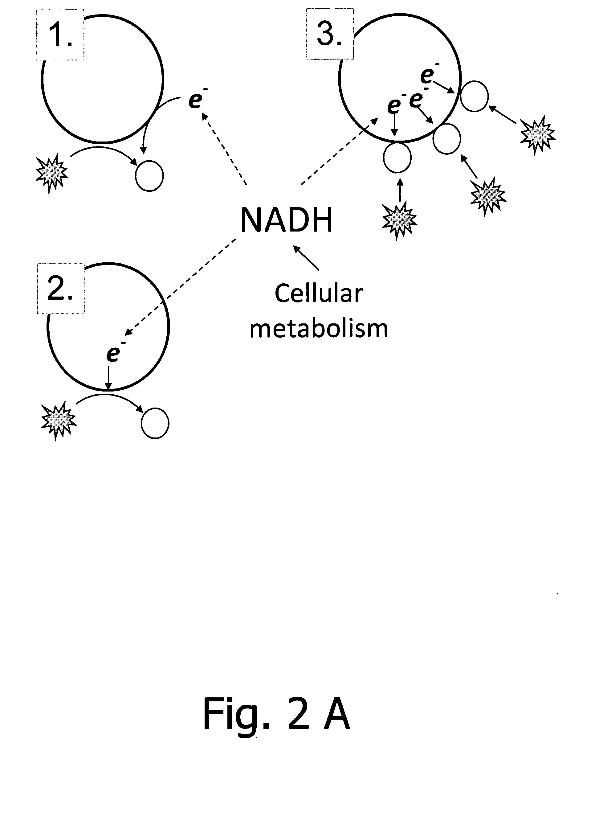 Medical use of the radical scavenger and antioxidant alpha-1-microglobulin