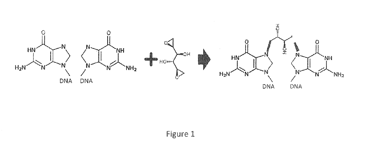 Use of dianhydrogalactitol and derivatives thereof in the treatment of glioblastoma, lung cancer, and ovarian cancer