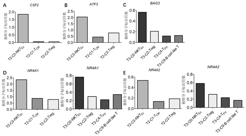 Bladder cancer depleted NKT cell subset, characteristic gene and application thereof