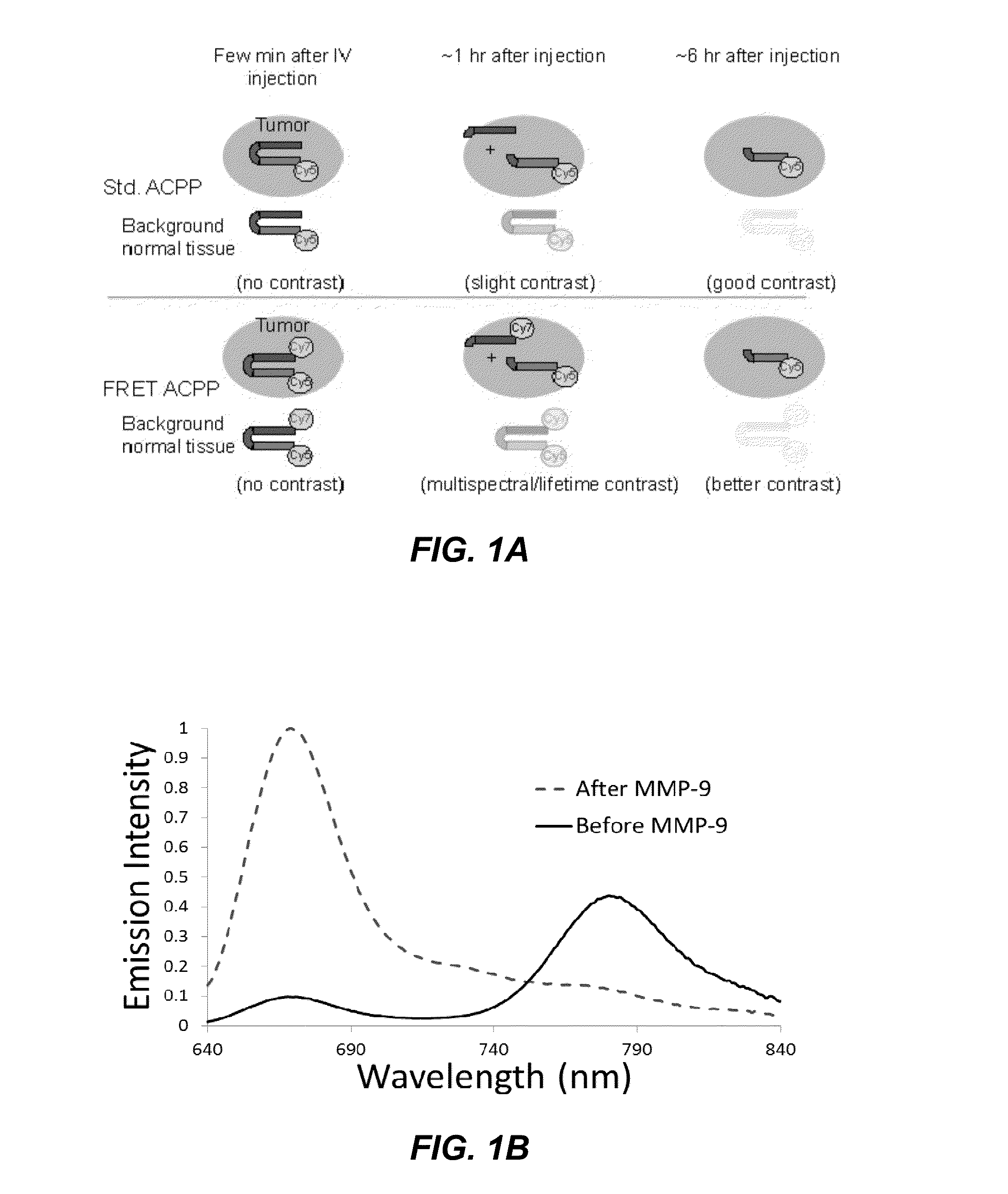 Activatable cell penetrating peptides with quenched fluorophores