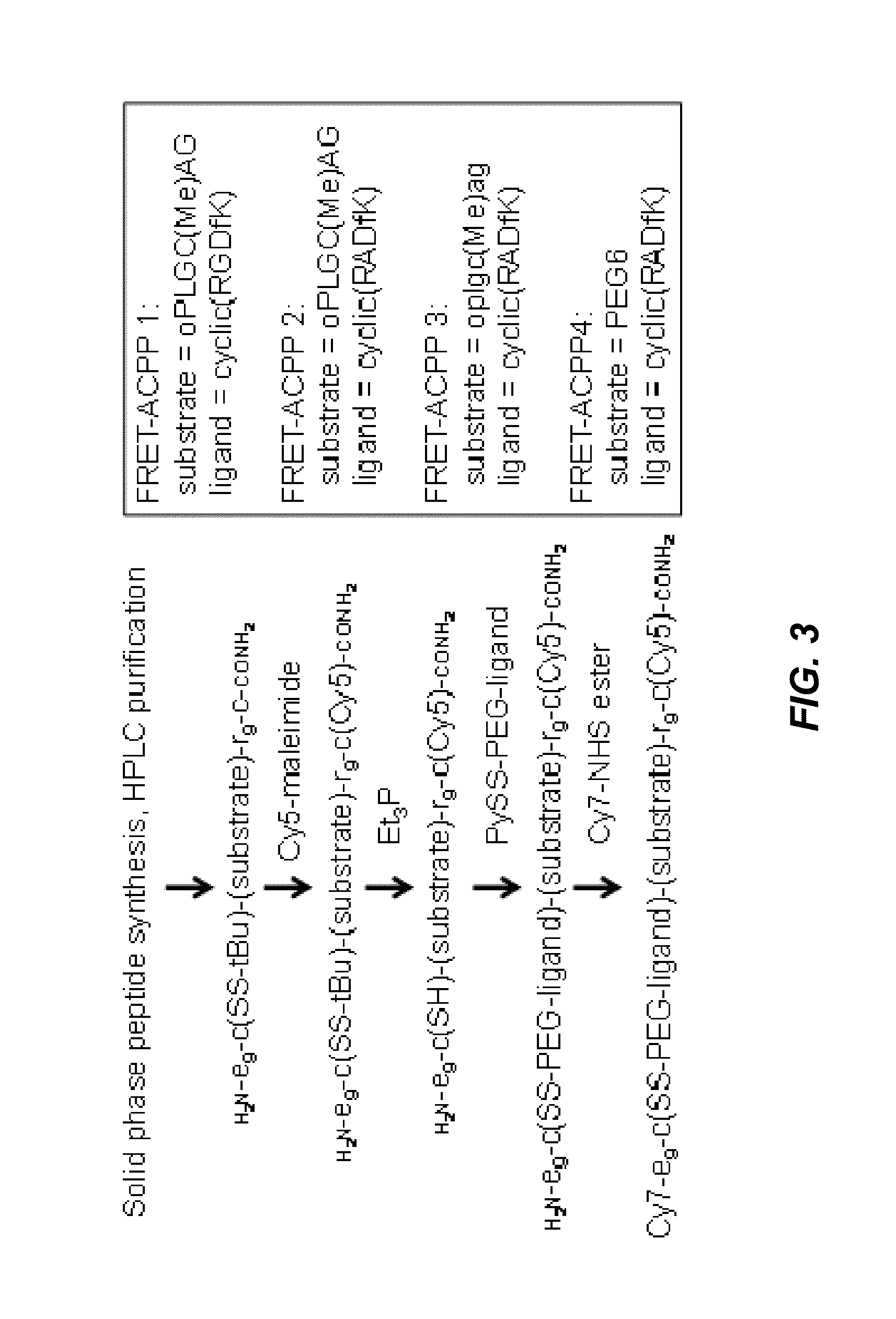 Activatable cell penetrating peptides with quenched fluorophores