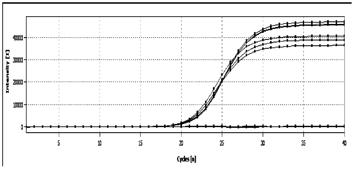 A kind of ultraviolet stress-related gene of highland barley and its application