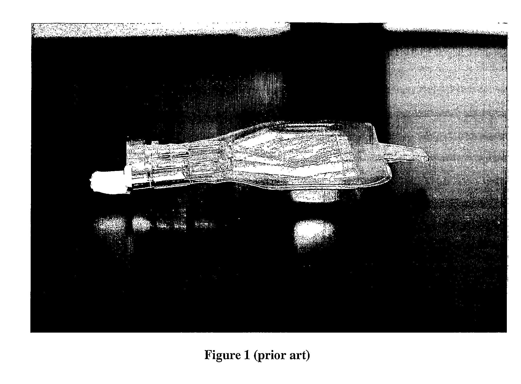 Support System for Flexible Lyophilization Containers