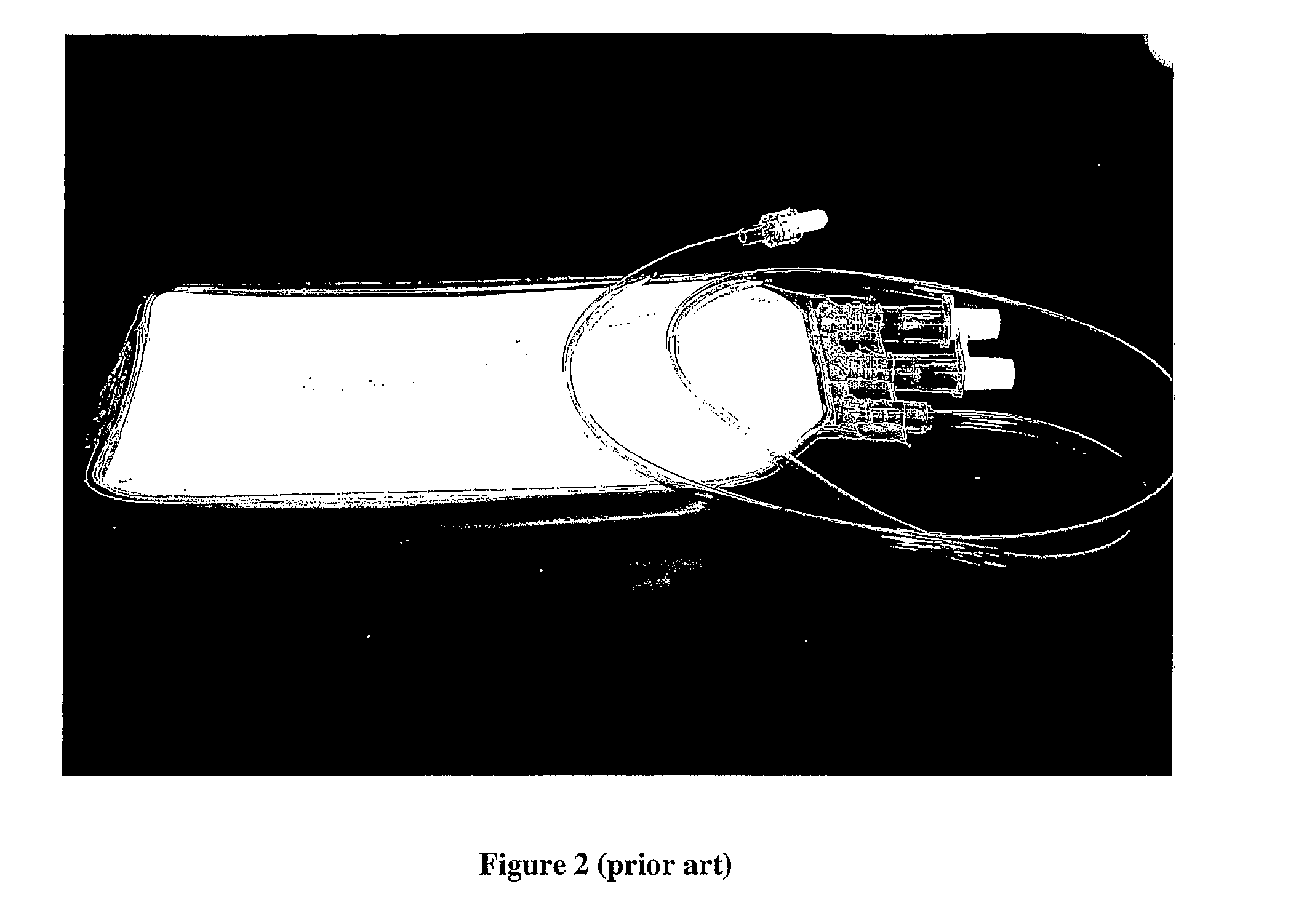 Support System for Flexible Lyophilization Containers