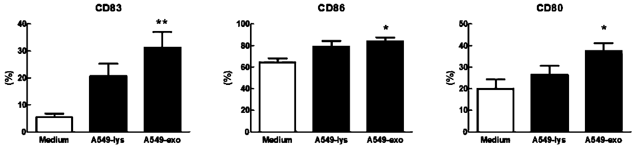 Application method of tumor cell-derived exosome antigen in DC vaccine