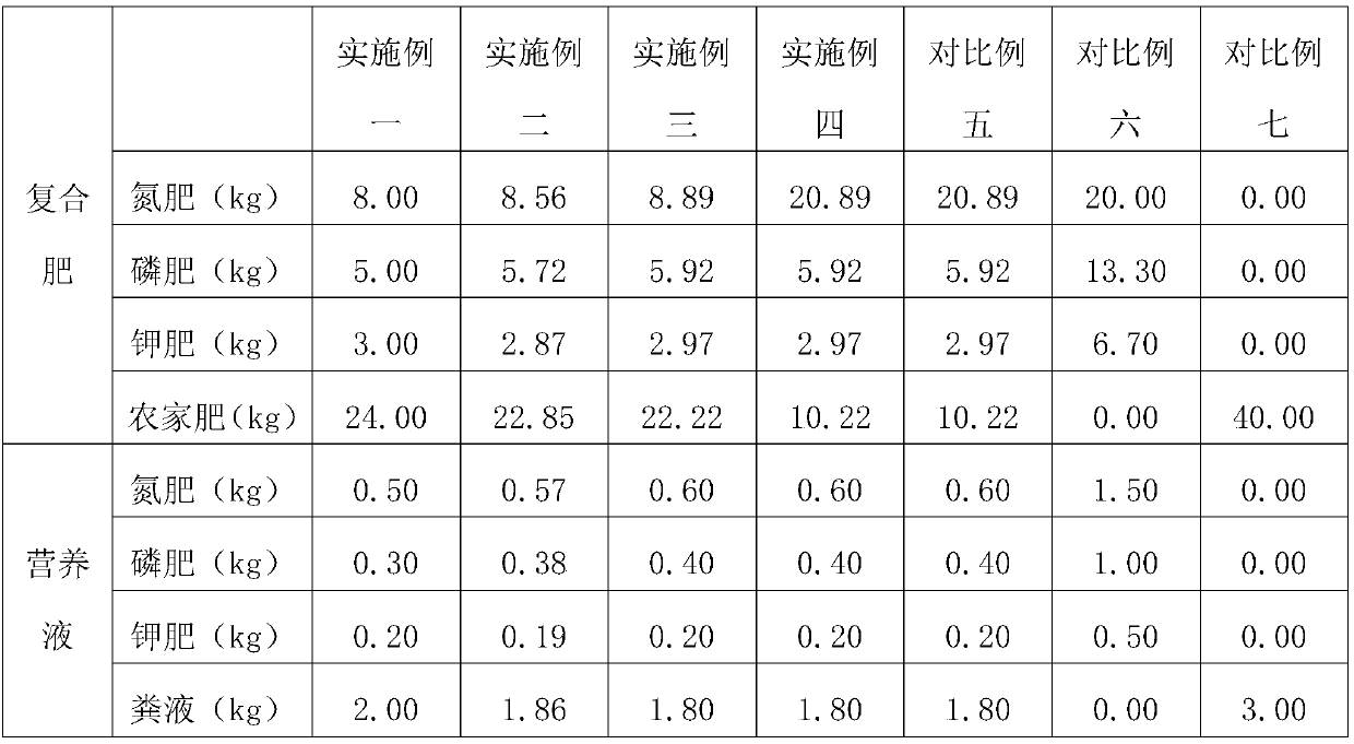 High-yield cultivation method of moso bamboo shoots