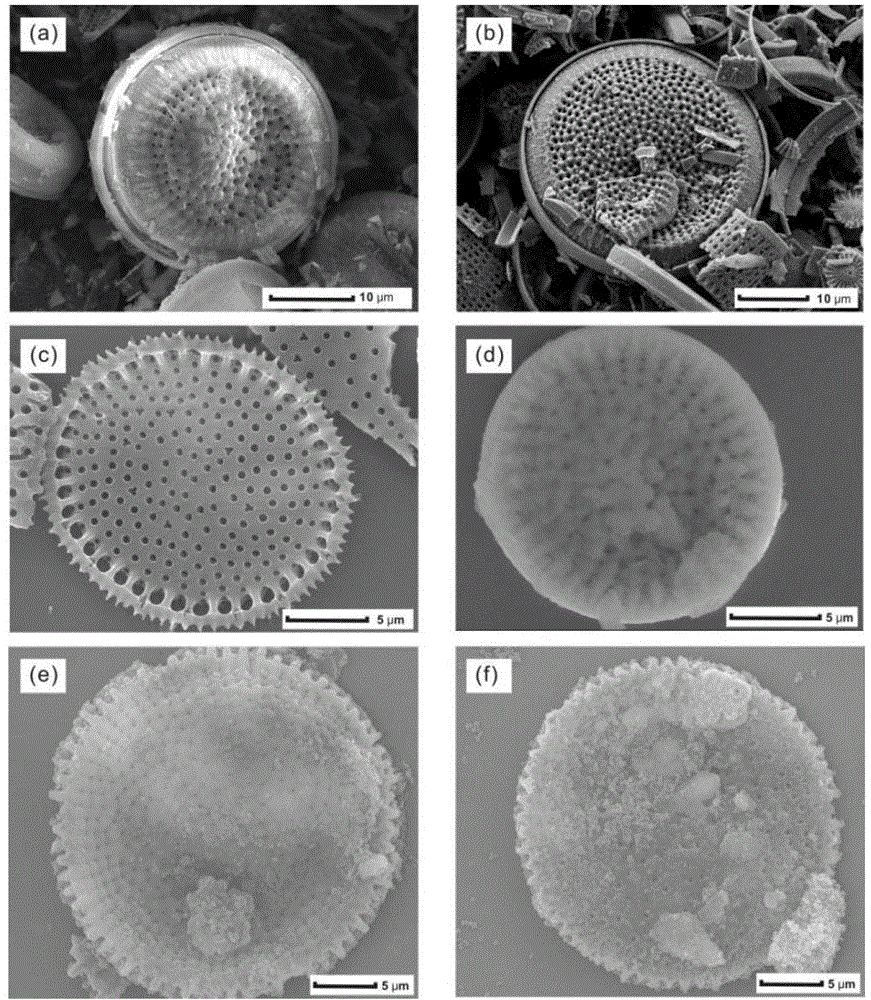 Diatomite-based porous composite material for adsorbing volatile organic pollutants and preparation method thereof