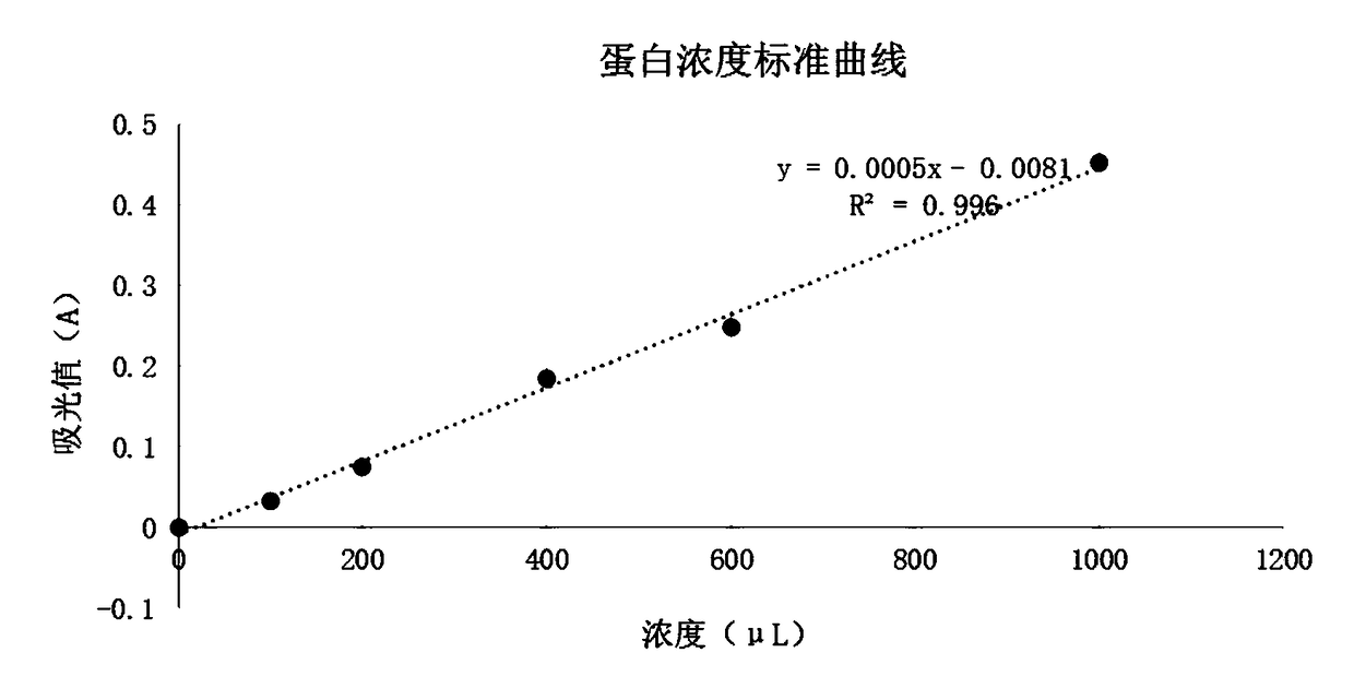 Method for modifying, separating and purifying protein and method for regulating enzyme activity of sulfhydryl protease