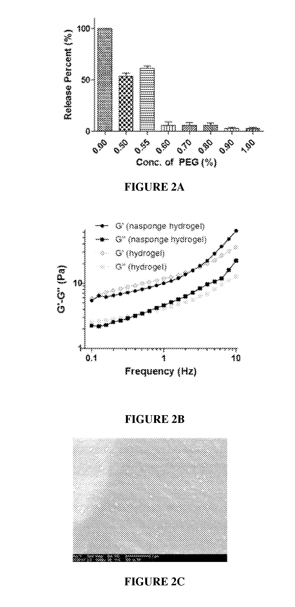 Hydrogel Toxin-Absorbing or Binding Nanoparticles