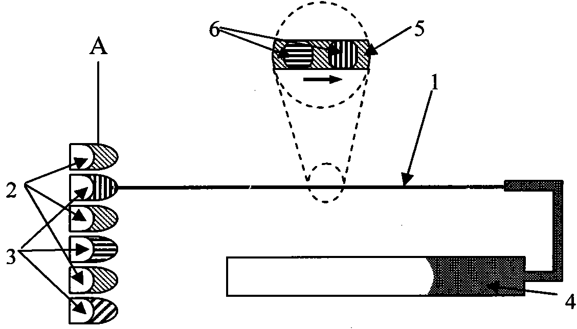 Preparation method of capillary probe array used for analyzing biochips