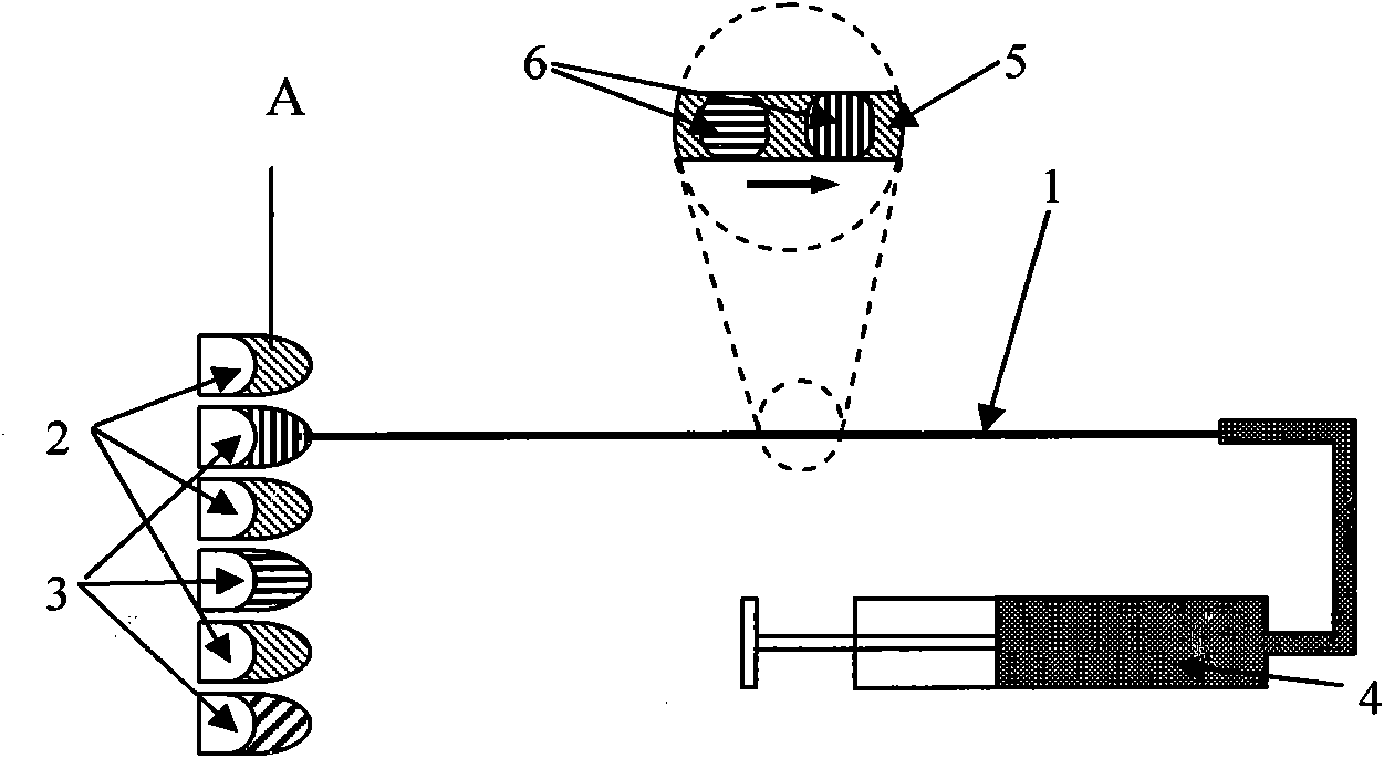 Preparation method of capillary probe array used for analyzing biochips