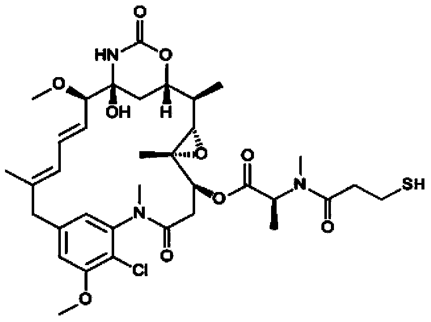 Anti-human ErbB2 antibody-ansamitocin conjugate and applications thereof