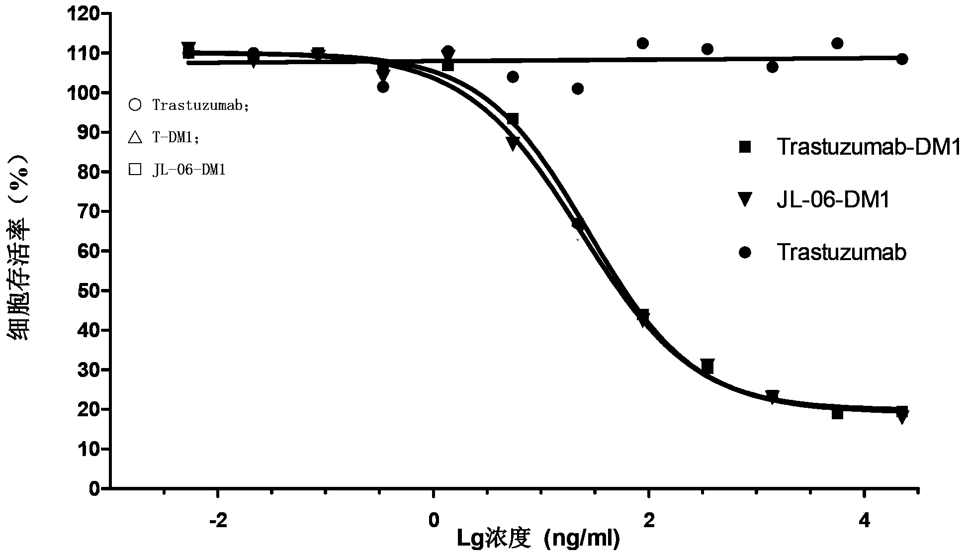 Anti-human ErbB2 antibody-ansamitocin conjugate and applications thereof