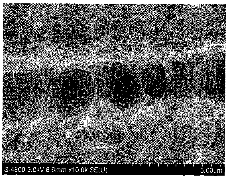 Method for modifying carbonized pre-oxidized fiber preform interface by carbon nanotube