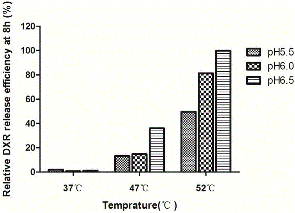 External release testing method of liposome medicaments prepared by pH gradient active drug loading method