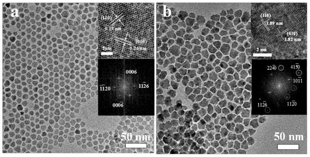 A non-noble metal morphology-controllable oxygen evolution catalyst cunis  <sub>2</sub>