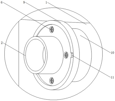 Device for removing ammonia nitrogen in coking sewage