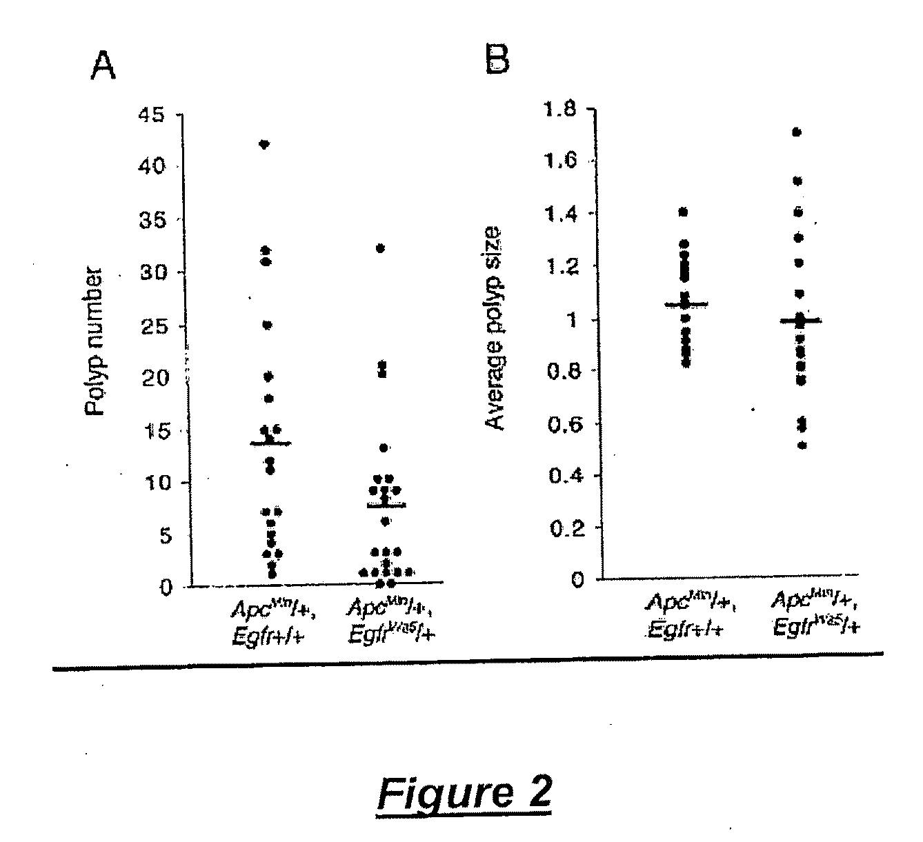 Modulation of epidermal growth factor heterodimer activity