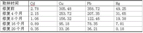 Bioremediation of Heavy Metal Contaminated Soil