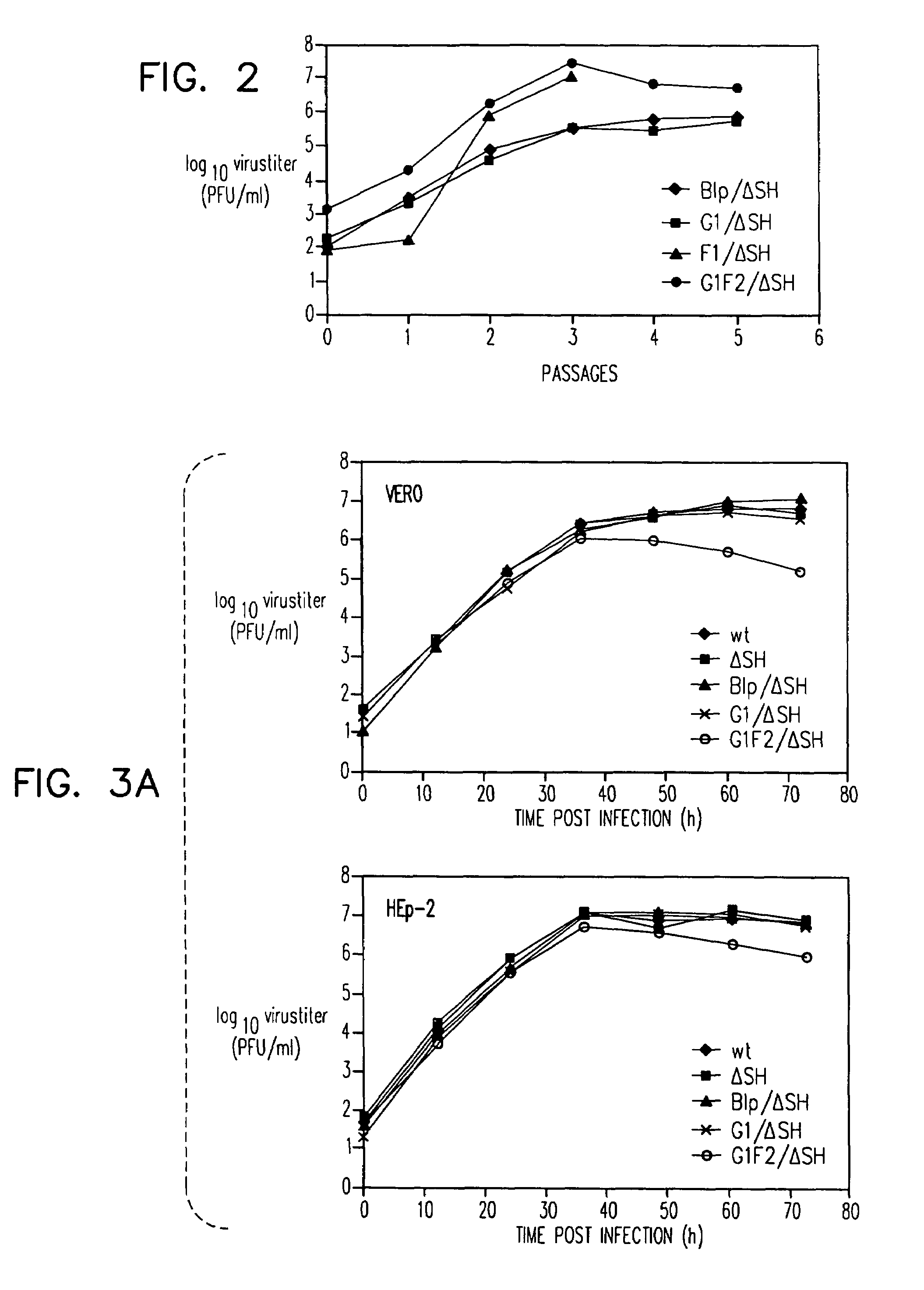 Respiratory syncytial virus vaccines expressing protective antigens from promoter-proximal genes