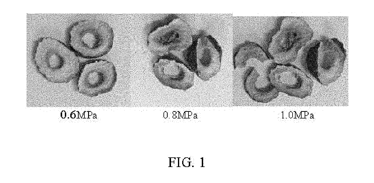 Dried fresh jujube slices and energy-saving process technology for differential pressure expansion drying