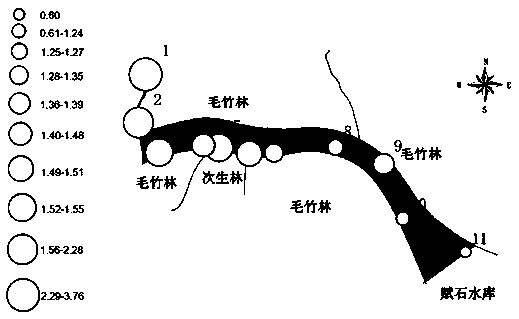 Amorpha fruticosa plant hedge constructing method for mountainous and hilly water source areas