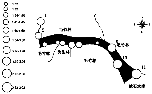 Amorpha fruticosa plant hedge constructing method for mountainous and hilly water source areas