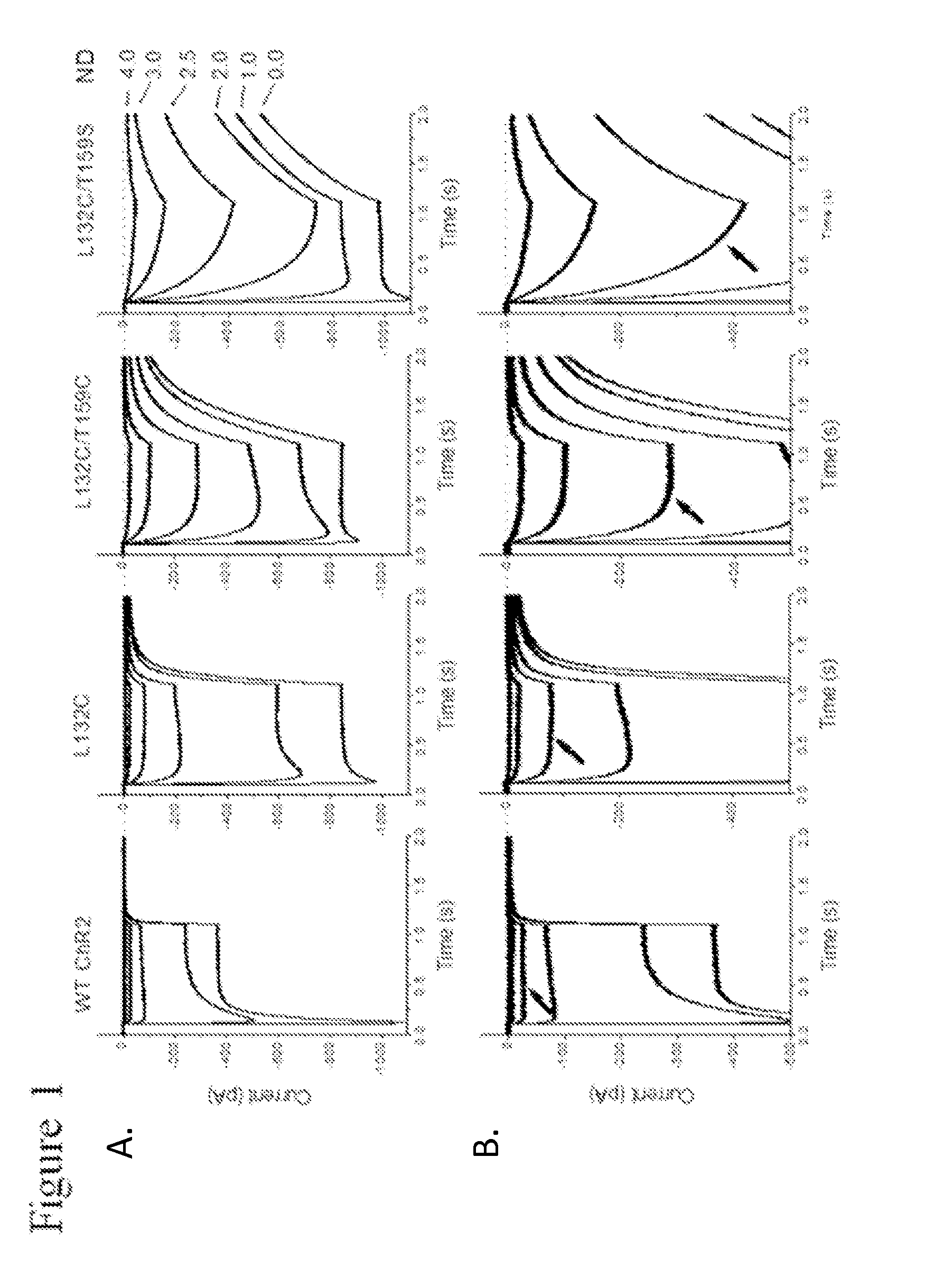 Identification of channelrhodopsin-2 (CHR2) mutations and methods of use