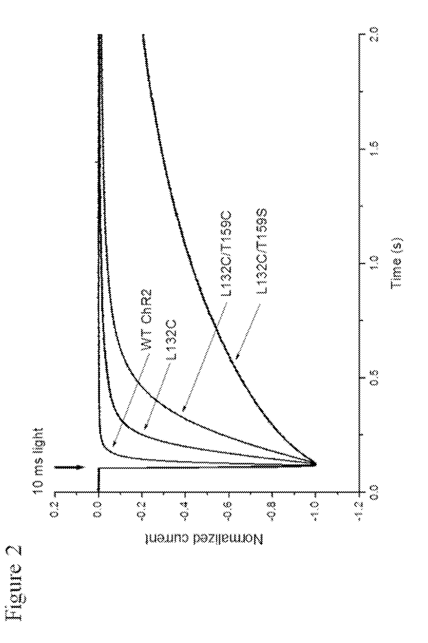 Identification of channelrhodopsin-2 (CHR2) mutations and methods of use