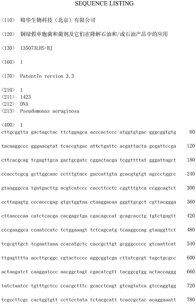 Pseudomonas aeruginosa, fungicide and application of pseudomonas aeruginosa and fungicide to degradation of petroleum and/or petroleum products