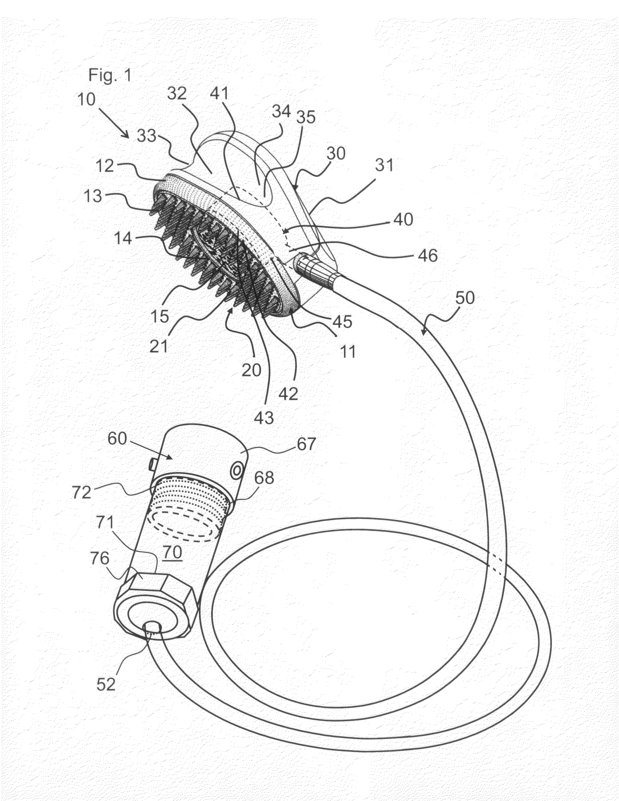 Direct application brush having flow regulator assembly