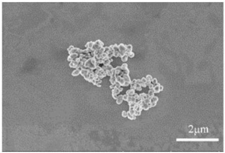 Method for preparing nano TiO2/wollastonite compound used for papermaking