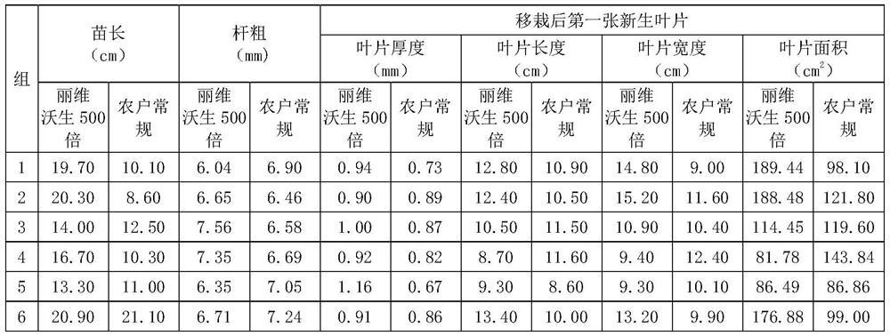 Greenhouse watermelon fertilization, disease prevention and cultivation methods