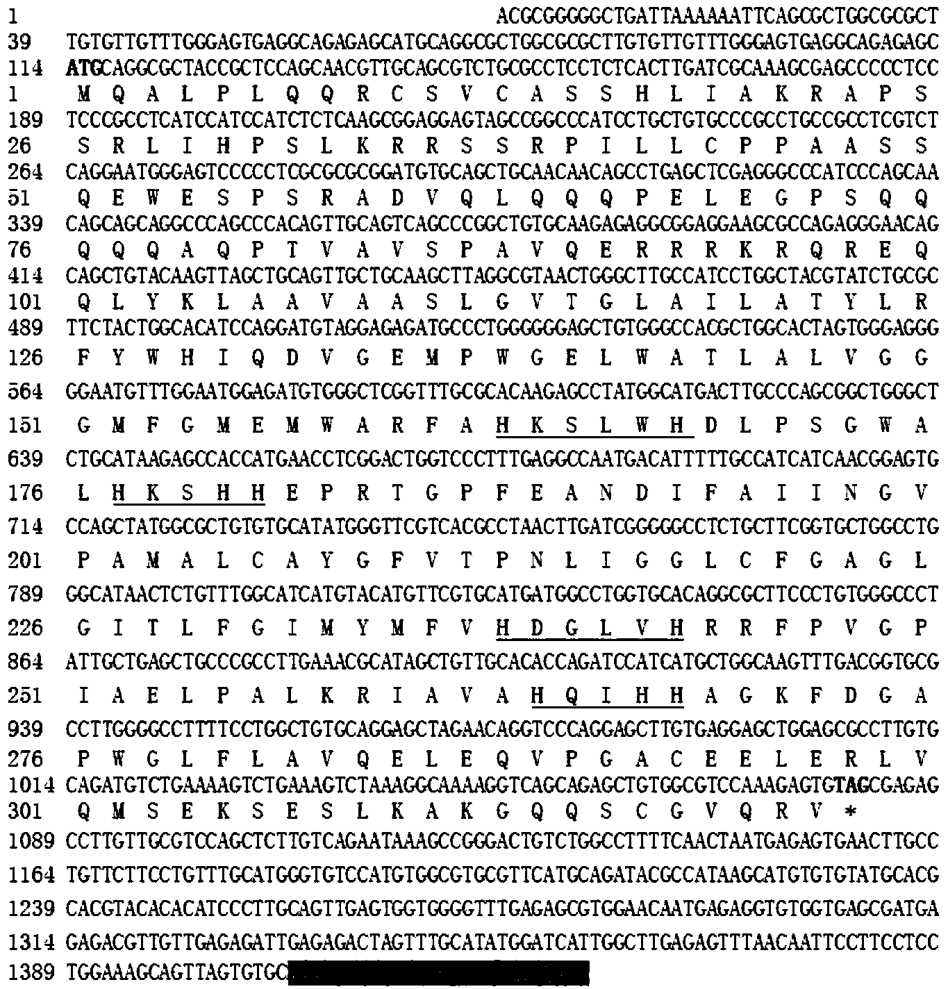 Method for increasing content of zeaxanthin in anabaena