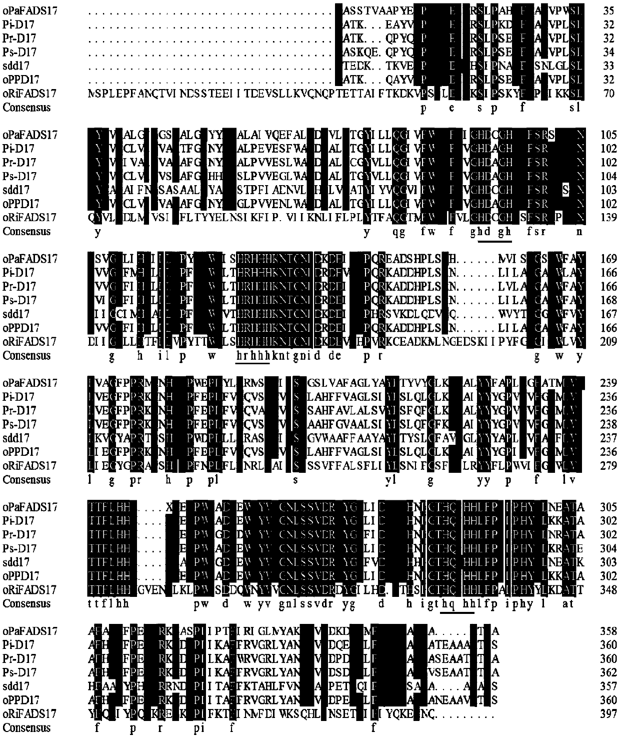 Desaturase from arbuscular mycorrhizal fungi Delta 17 and application thereof