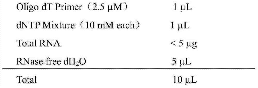 AFP-antigen-based AFP nanobody A80