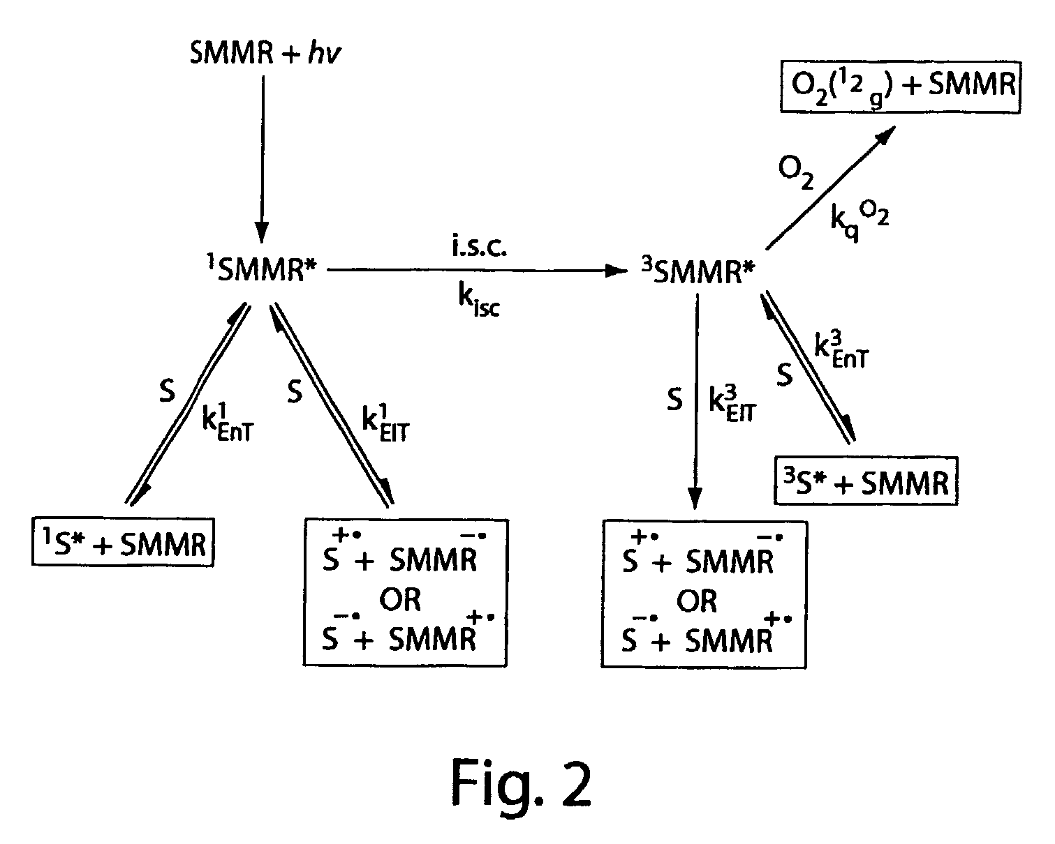 Smmr (Small Molecule Metabolite Reporters) For Use As In Vivo Glucose Biosensors