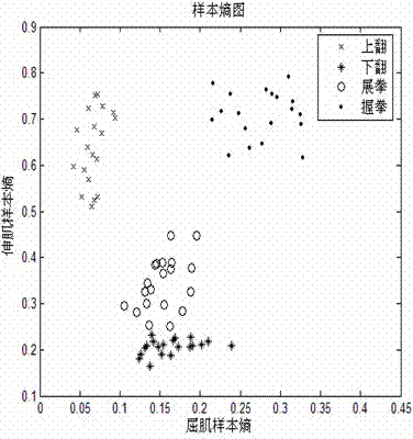 Method for identifying surface electromyography (sEMG) on basis of empirical mode decomposition (EMD) sample entropy